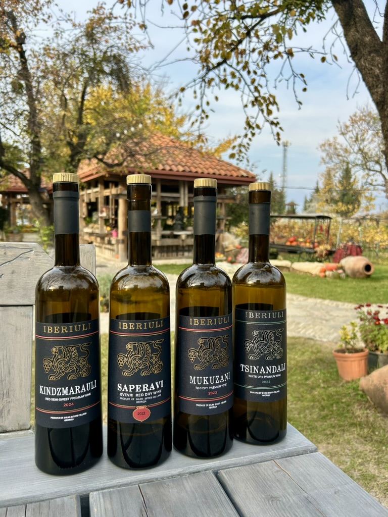 Wine tasting in Telavi, Georgia